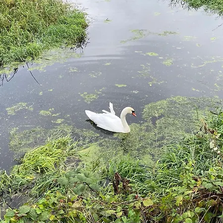 An Boreen Oda ve Kahvaltı *