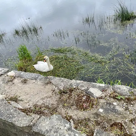 An Boreen Oda ve Kahvaltı